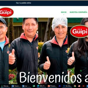 guipiwebsite